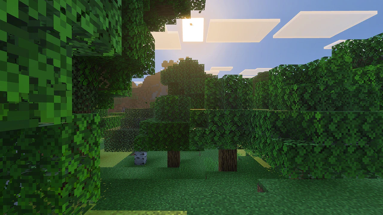 Capture officielle de Minecraft : forêt et lumière du soleil avec Vibrant Visuals